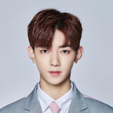 비디오